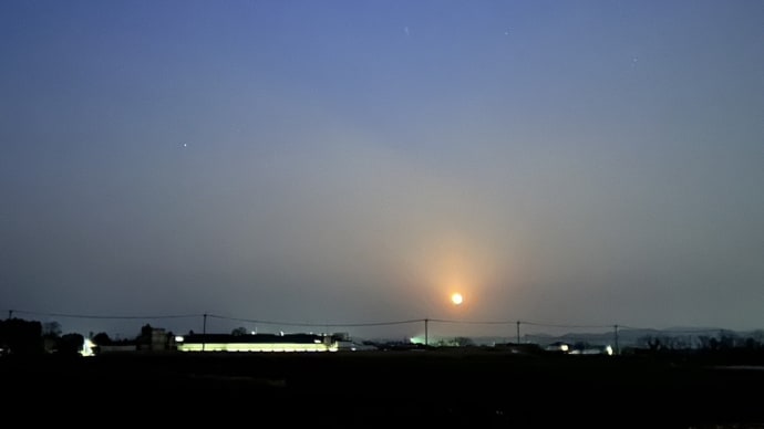 こうだったらいいのにな。ありましたか?