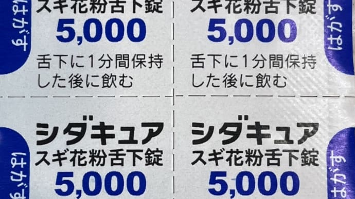 舌下免疫療法 かかった料金記録