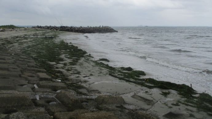 台風8号通過で海に元気が出たかな、
