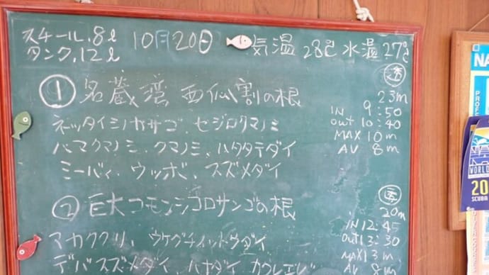 20231020ダイビングログ