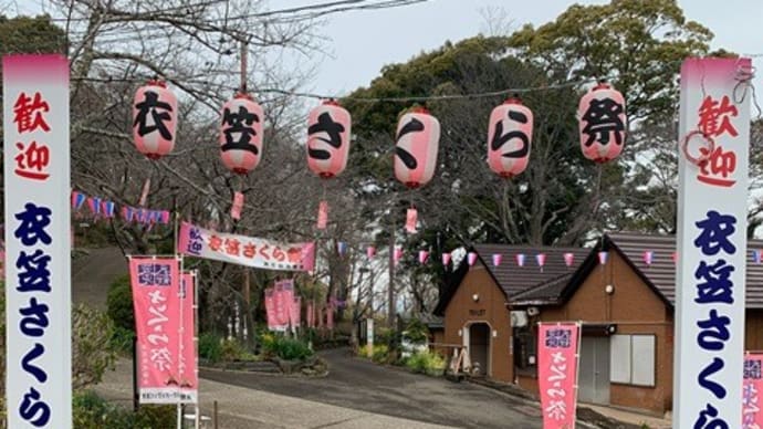 衣笠山公園の『衣笠さくら祭』は28日から！
