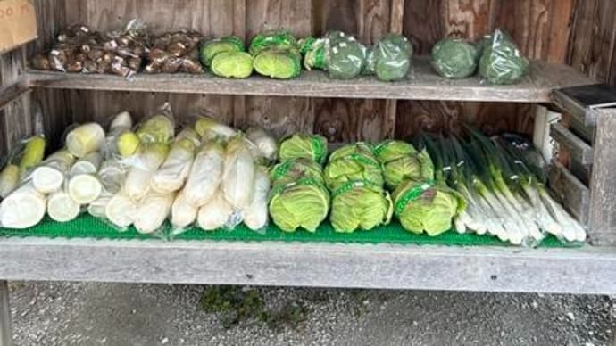 野菜、高い、安い