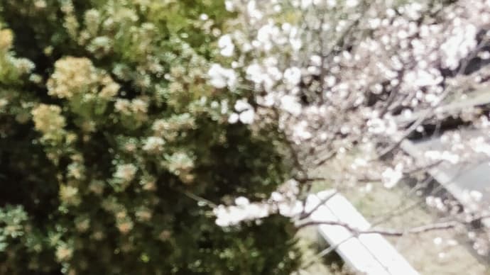 今日退院します!