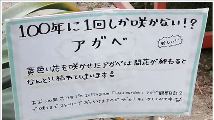 緑を守る会 視察研修会 1