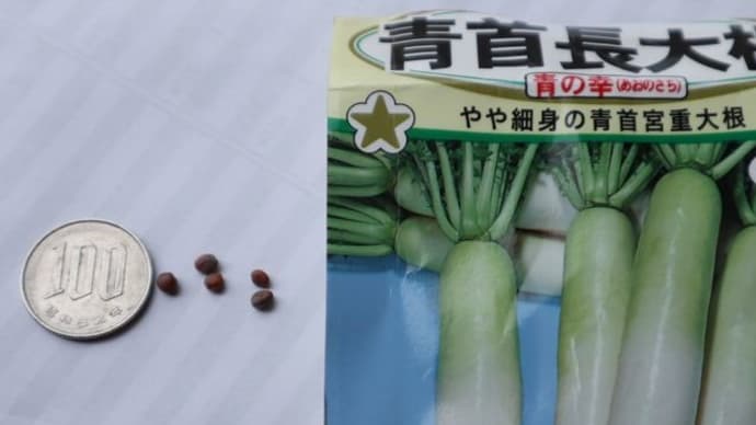 嬉しい、芽が出た!