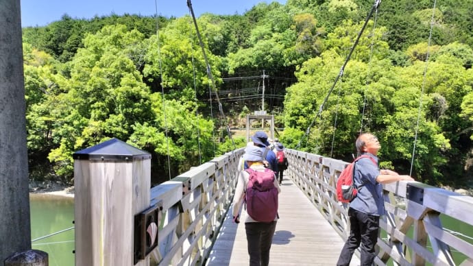 「新緑の宇治」ぶらり・「太陽が丘・宇治川・天ヶ瀬吊り橋」〜大和ウォーキング協会例会