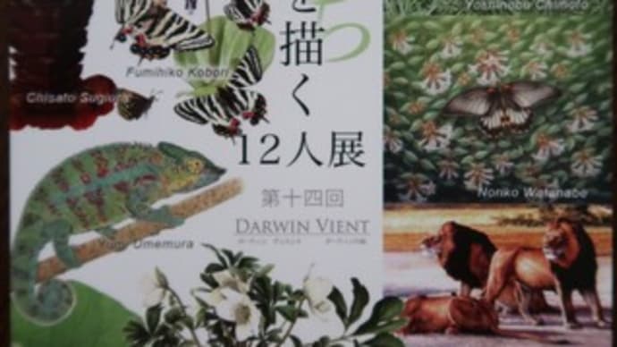 田中豊美さん「自然の生命を描く12人展」