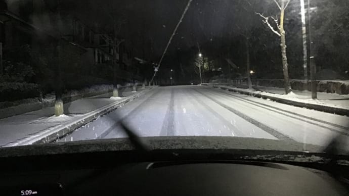 今日の雪とシンクロ・ウェザー
