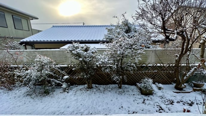 雪の庭