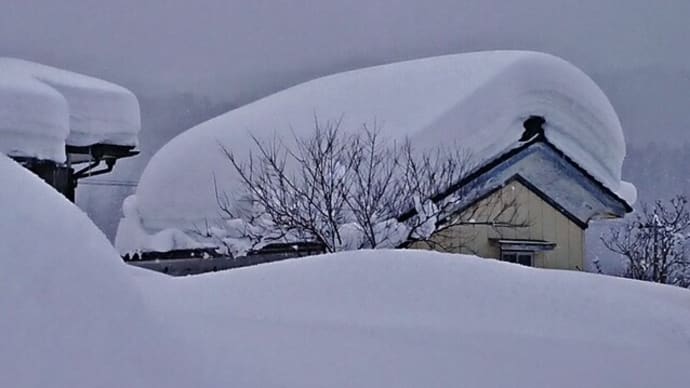 雪・snow・ゆぎ・・・どこもかしこも雪景色2022
