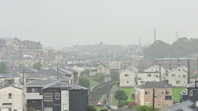 06月14日 音を立てて降るような大雨。