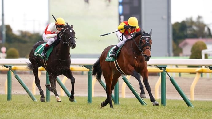 【予想】 第59回 共同通信杯 G3