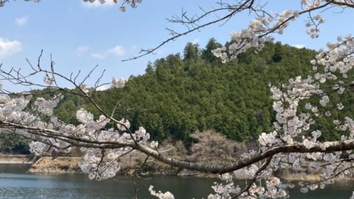 お花見のつもりが、、、