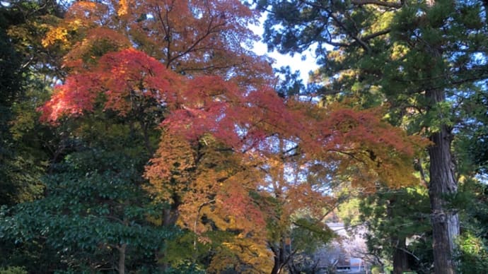 12月貞永寺は紅葉スポット