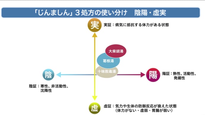 “陰陽・虚実・表裏”で使い分けるじんましん漢方