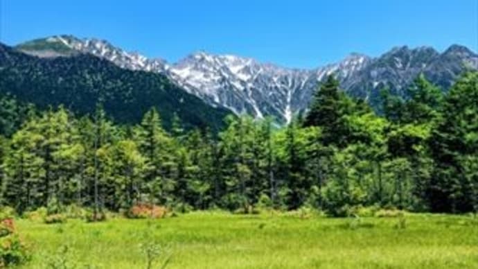 からし種ほどの信仰があるのか