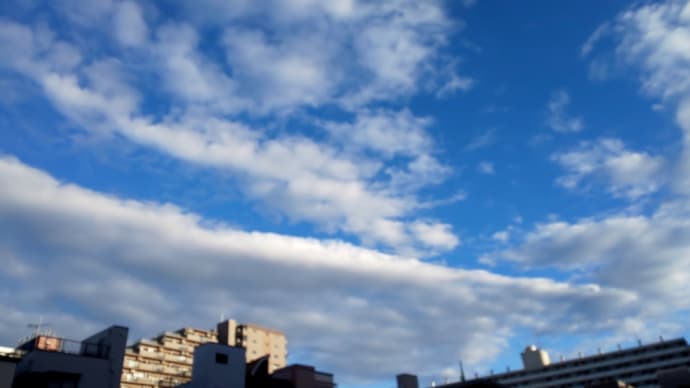 今の自分にできることは…