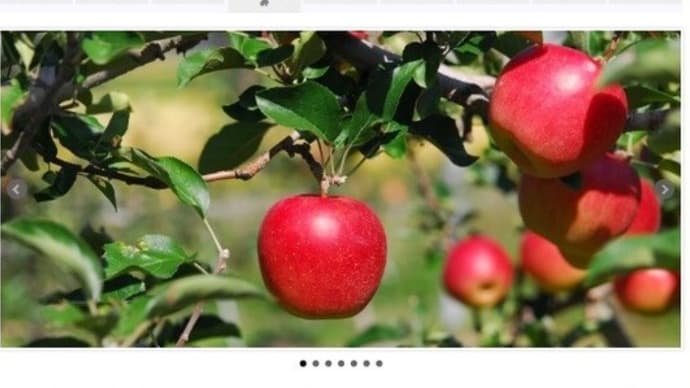 りんご園のホームページ移転完了