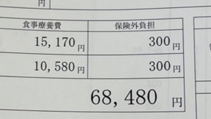 子宮卵巣摘出手術日記　〜自宅療養5日目(術後14日目)〜