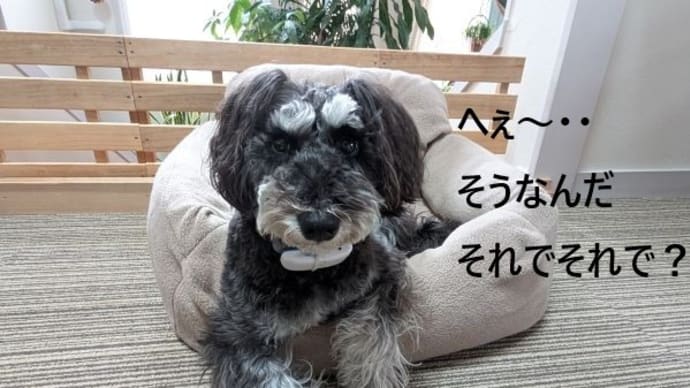 通行止めで帰れない?!