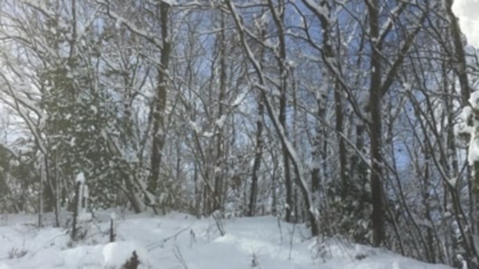 大雪で始まった冬休み