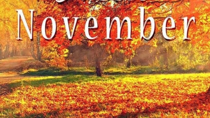 11月1日