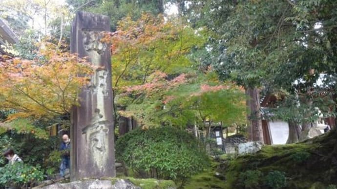 【2つ目は龍應山 西明寺】お父さんと2人湖東三山③2021/11/21