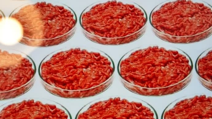 「フェイクミート(培養肉)」はこれからの成長産業