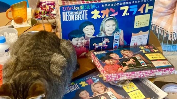 ネオンブライト目標蒐集数まで、あと5台