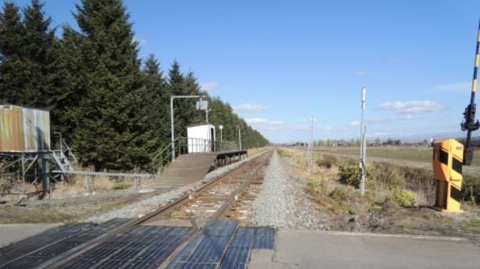 犬達と北海道2022*最終章~その12「ふたたび」