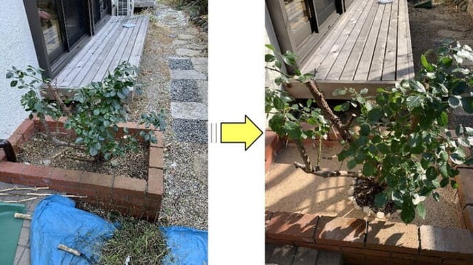 草が生えて困る場所に固まる土を使って除草対策