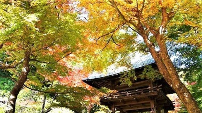 両足寺の紅葉