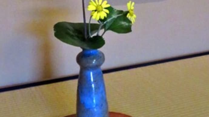 ★「困難に負けない」 ツワブキの花言葉