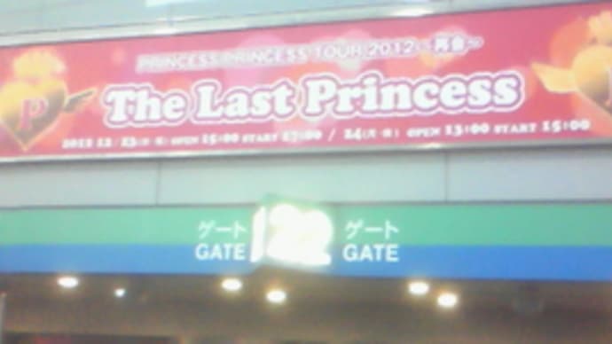 The Last Princess