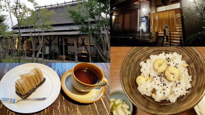昨日の風景 丹波栗尽くし