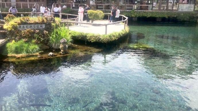 富士河口湖での綺麗な写真集〜Part2 湧池(忍野八海)編〜(2021年5月)