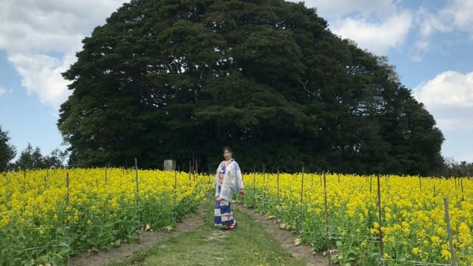 2021'コーデ27 花追い『菜の花』