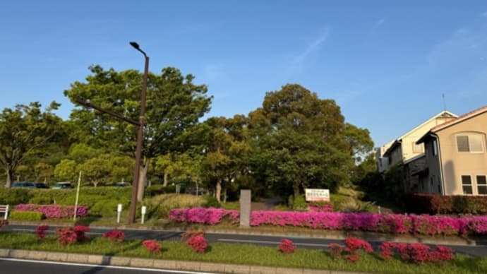 【教室】千葉・千葉沖縄三線教室お稽古‼️😊
