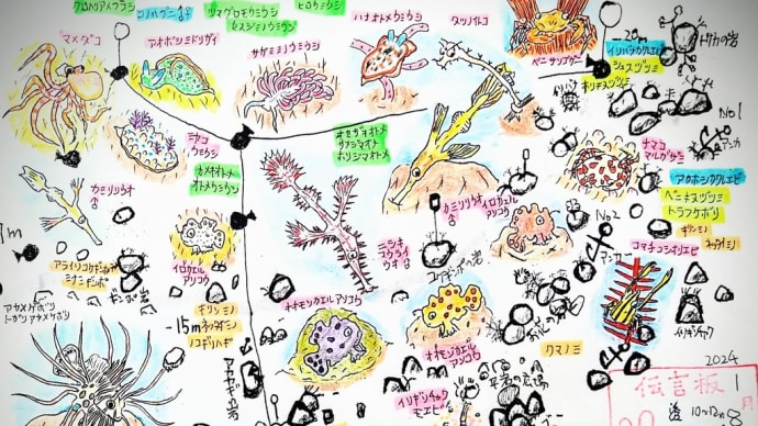 石橋最新生物事情2024/01/06〜08[w/map予定](←1/9添済)※1/10付加筆あり