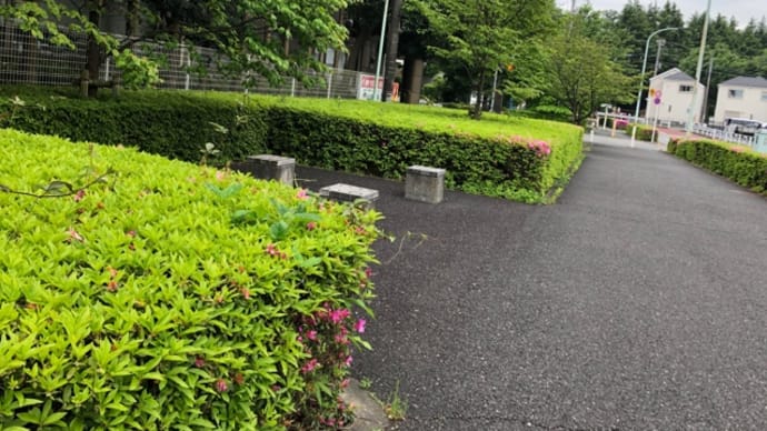 帰休日の今朝は、も。 (^○^)