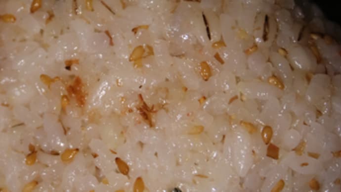4月3日 金ごまかつお&若菜と ひじきおにぎり