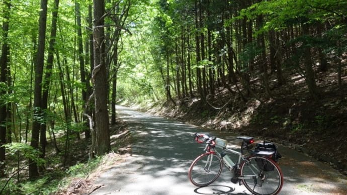 小熊山林道を辿り、鹿島槍スキー場へ