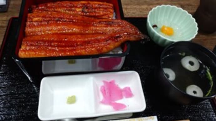 うな重