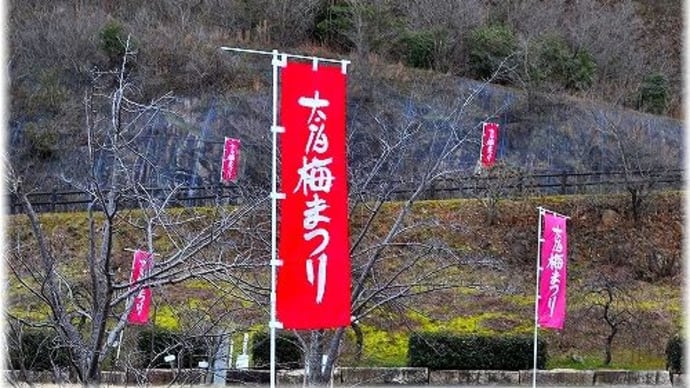 神崎梅園「岡山県岡山市東区神崎町」