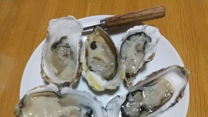 真牡蠣/仮屋湾産(佐賀)