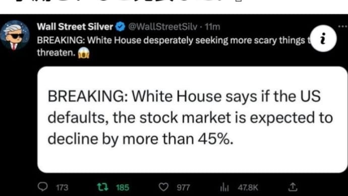 ホワイトハウスは、米国がデフォルトした場合、株式市場は45％以上下落することが予測されると発表した！ゲサラRVのトリガー（引き金）に繋がる！デフォルト間近！