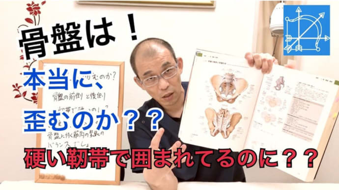 骨盤は本当に歪むのか？妊婦さんの産後はグラグラで良く動くのだが【鍼灸・整体・マッサージ】