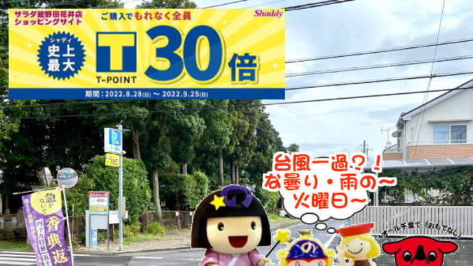 台風一過の大快晴~とは成らない!祝日明けのお彼岸入り~の野田市!!