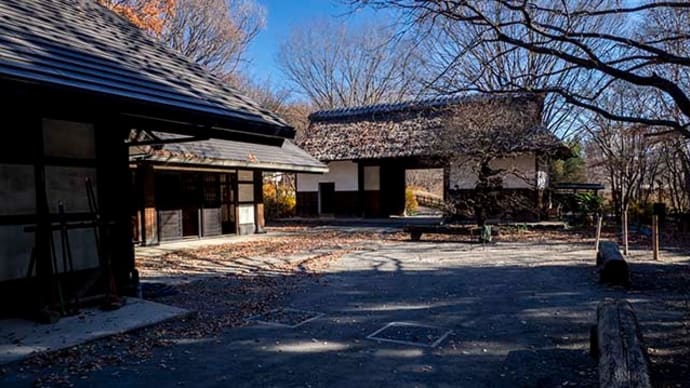 ふるさと体験館、最期の紅葉