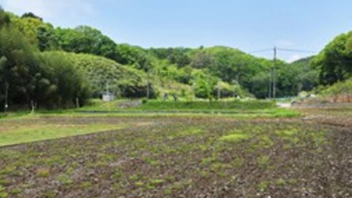 2022年4月23日 晩春